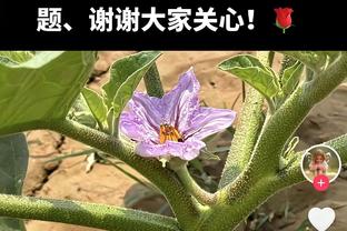 进攻毫无状态！格威5中0得分吞蛋贡献4篮板2助攻2断1帽&正负值-28